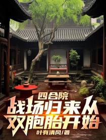 四合院：战场归来从双胞胎开始